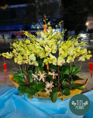 Thuyền lan vàng  cao cấp 