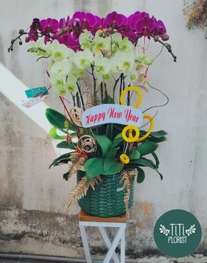 Giỏ hoa lan hồ điệp 