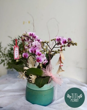 Chậu lan nhỏ decor