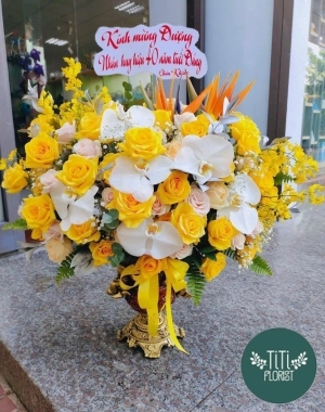 Chậu hoa lan vàng trắng cao cấp 