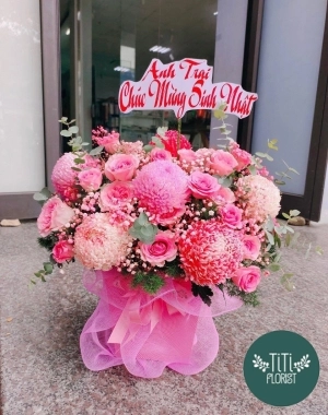 Chậu hoa sinh nhạt cúc mẫu đơn 