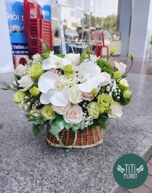 Giỏ hoa lan hồ điệp trắng 