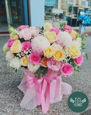 Chậu hoa cúc hồng mẫu đơn 