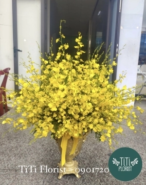 Bình hoa vũ nữ vàng tươi 