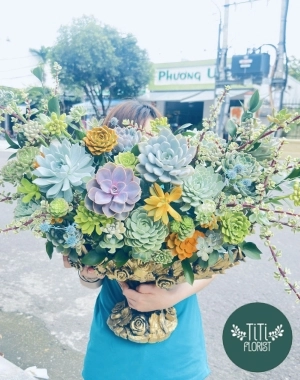 Chậu sen đá  hiện đại 