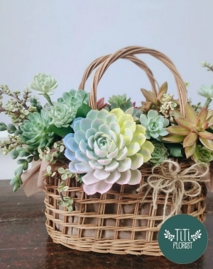 Giỏ hoa sen đá hiện đại 