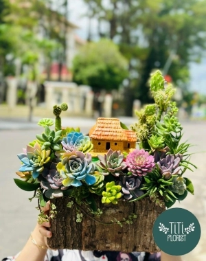 Giỏ hoa sen đá phong cách 