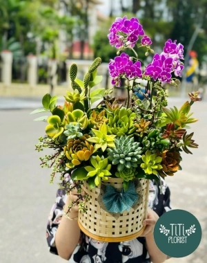 Giỏ hoa sen đá 
