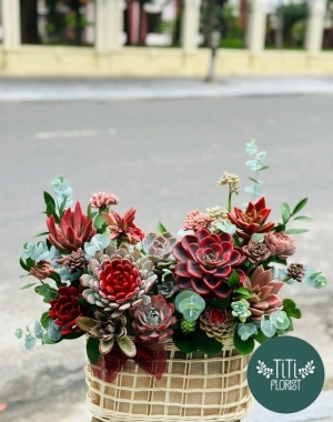 Giỏ hoa sen đá  Kon Tum 