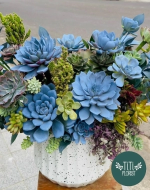 Giỏ hoa sen đá xanh dương 