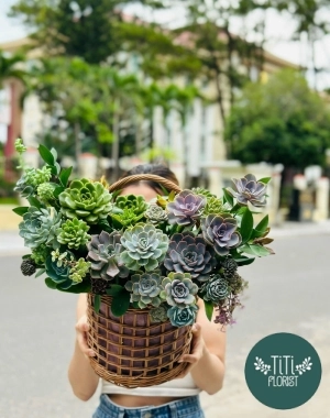 Giỏ hoa sen đá ngọt ngào