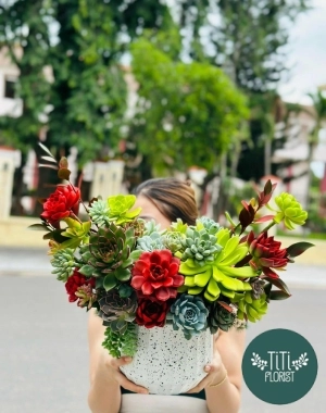 Chậu hoa sen đá đỏ rực 