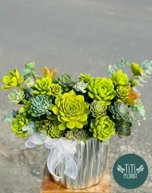 Chậu hoa sen đá vĩnh cửu 