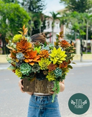 Chậu hoa sen đá mới nhất