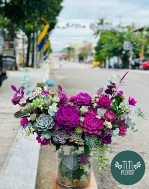 Chậu hoa sen đá sắc tím 