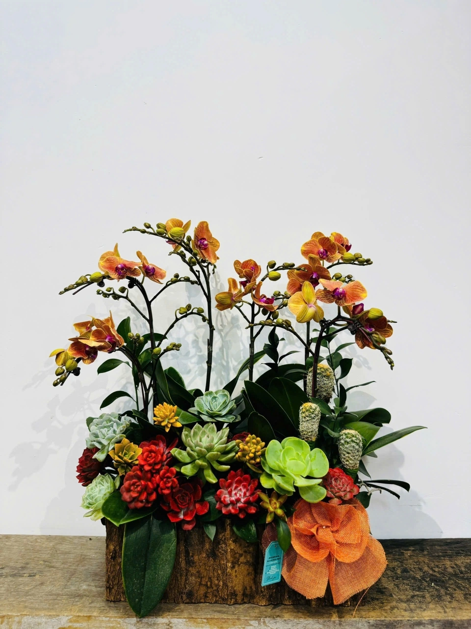 Lẵng lan hồ điệp và sen đá