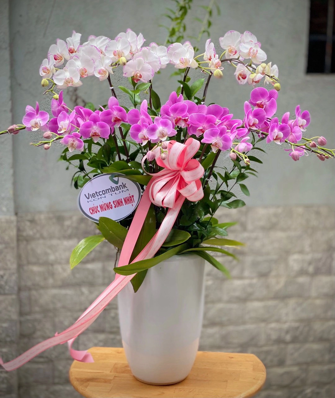 Lan hồ điệp tím trắng 