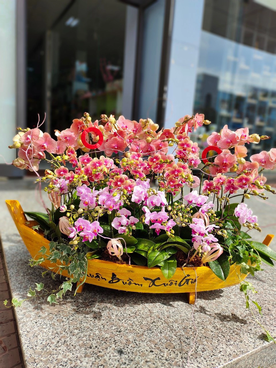 Thuyền lan hồ điệp  cao cấp 