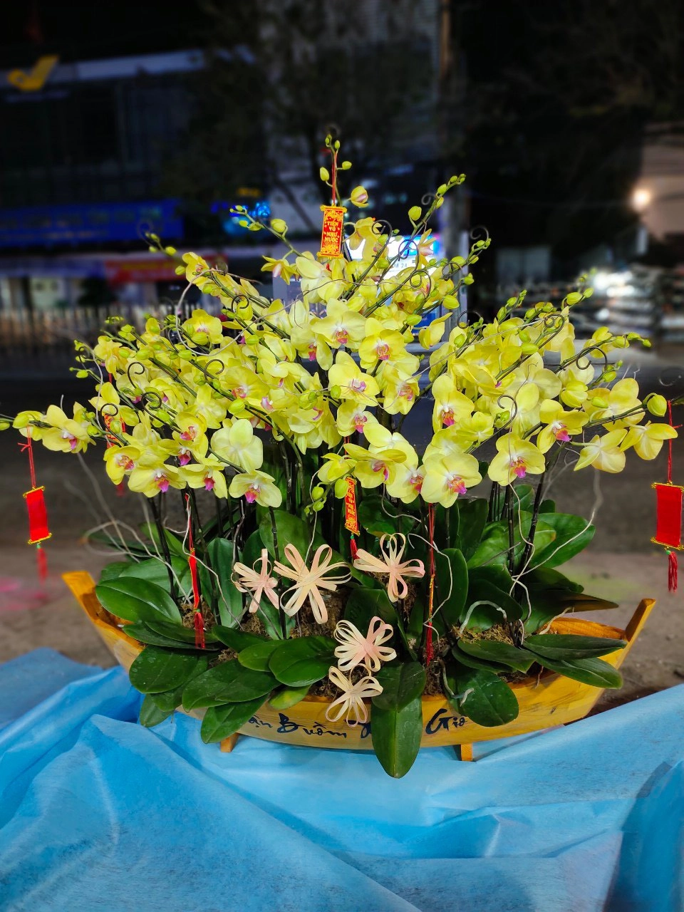 Thuyền lan vàng  cao cấp 