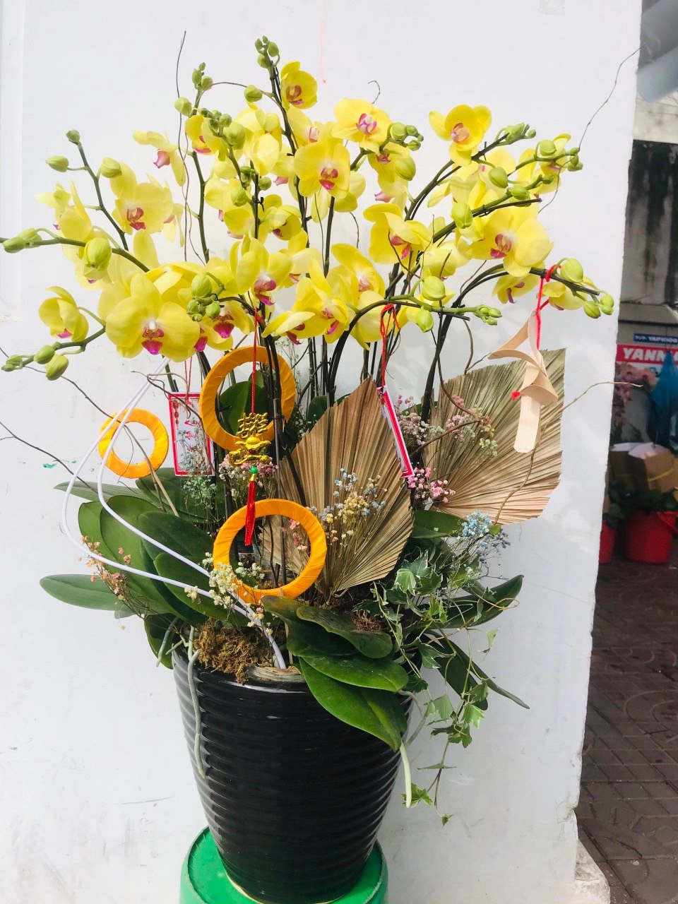 Chậu hoa lan vàng đẹp 