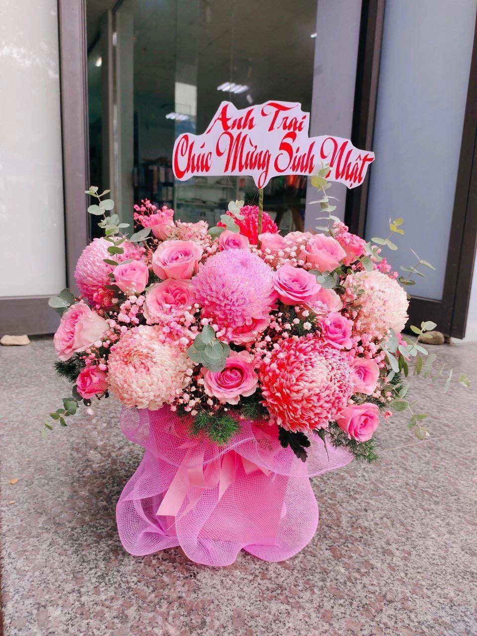 Chậu hoa sinh nhạt cúc mẫu đơn 