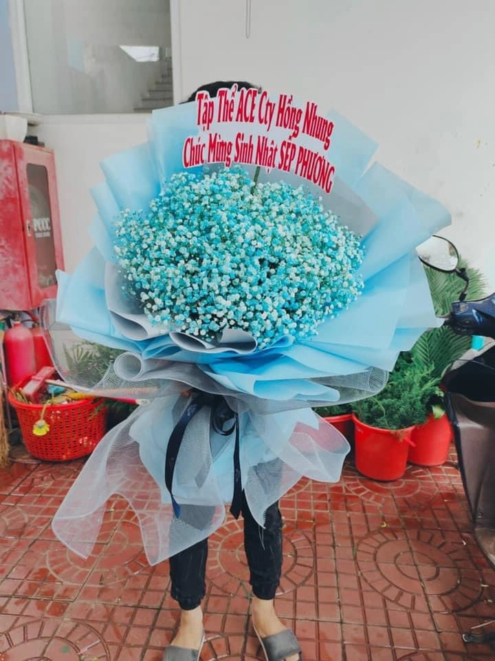 Bó hoa bi xanh sinh nhật 