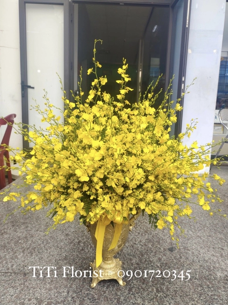 Bình hoa vũ nữ vàng tươi 