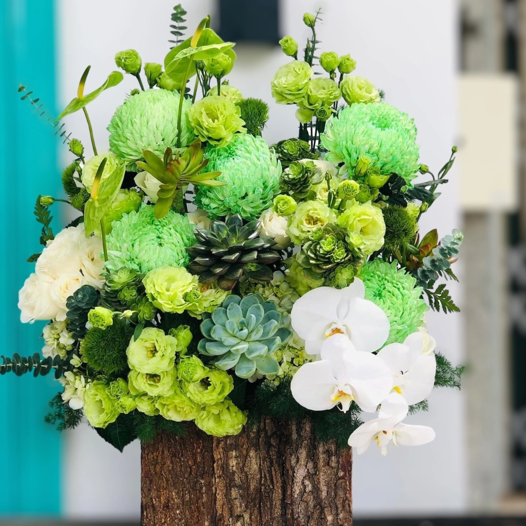  Chậu hoa  tông xanh có sen đá